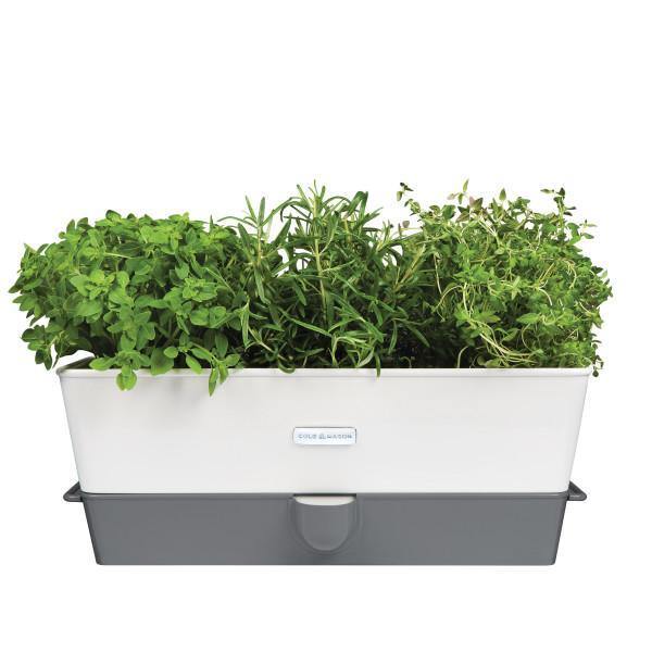 Samozavlažovací květináč pro uchování bylinek, trojitý - COLE&MASON